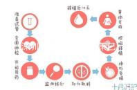 深圳最新獨(dú)生子女政策已出爐，羅湖、南山區(qū)補(bǔ)貼金均有提高