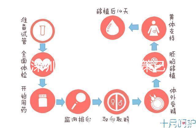 深圳最新獨生子女政策已出爐,羅湖、南山區(qū)補(bǔ)貼金均有提高