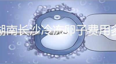 湖南長(zhǎng)沙冷凍卵子費(fèi)用多少？中信湘雅盧光琇教授這樣說...