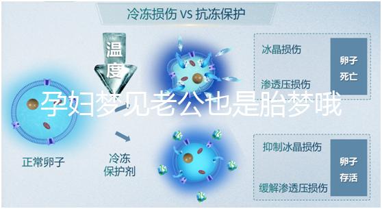 孕婦夢見老公也是胎夢哦!具體寓意解讀看過來