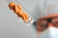 孕婦夢見花生多生兒子!做此胎夢的姐妹們就偷著樂吧