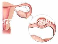 孫權(quán)和奧巴馬居然也扯得上關(guān)系:他們都是混血兒