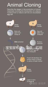 寶寶尿布疹、濕疹、紅屁股傻傻分不清？4點區別輕松診斷