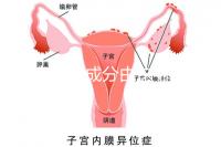 寶寶金水成分由這4種中藥材構(gòu)成,對寶寶有益無害