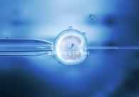 備孕中藥調(diào)理不孕不育18種藥材整理,這些助孕偏方效果絕佳