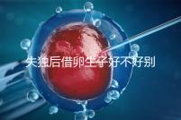 失獨(dú)后借卵生子好不好別還不造，供卵or領(lǐng)養(yǎng)過(guò)來(lái)人感受更深