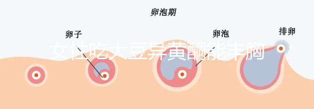 女性吃大豆異黃酮能豐胸？別再被這些虛假廣告給忽悠了