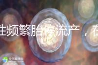 女性頻繁胎停流產(chǎn),在拖“后腿”可能是精子碎片率