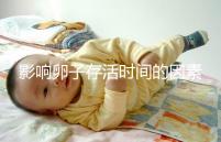 影響卵子存活時間的因素剖析：年齡起主導(dǎo)作用