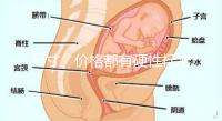 尺寸、價格都有硬性標準，選擇雙胞胎嬰兒床決不可大意！
