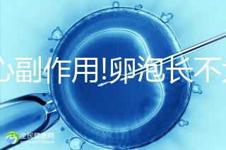 小心副作用!卵泡長(zhǎng)不大不排卵,打HMG必須要知道的3件事