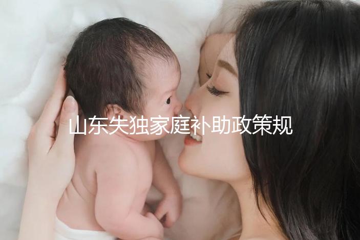 山東失獨家庭補助政策規定2024,濟南超過60歲每月領一千