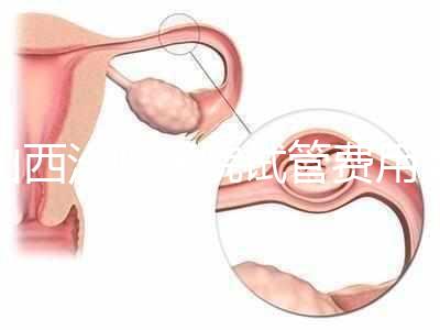 山西汾陽醫院試管費用清單公布，2024年生殖科助孕成功率公布