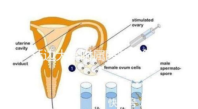 延邊大學附屬醫院試管怎么樣，助孕成功率、收費目錄表奉上