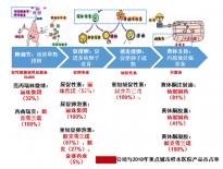 已生男寶說說懷孕特征,寶媽討論孕早期常見身體發熱