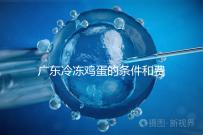 廣東冷凍雞蛋的條件和費用明細！包含廣州前三醫院的詳細信息！
