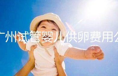 廣州試管嬰兒供卵費(fèi)用公布，中山一院6萬不看情況