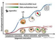 廣州hpv疫苗預約流程攻略,詳細地址加電話收好不謝