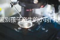 鑒別孩子親生的小竅門快收藏，取牙刷樣本準不準分情況