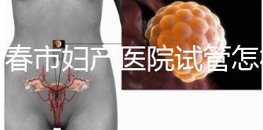 長春市婦產醫院試管怎樣問題解答，助孕成功率、費用可作參考