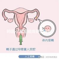 韓國小童星威廉疑似在校被霸凌？父親Sam辟謠：凹高冷人設