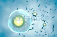 阿根廷生孩子國籍政策2024，落戶流程和條件一文說清