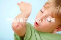 蓮藕排骨湯的功效（蓮藕排骨湯的功效與作用）