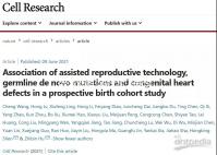 胎夢(mèng)新解:孕婦夢(mèng)見(jiàn)鹿預(yù)示現(xiàn)實(shí)中將要發(fā)生的事情分析