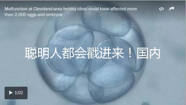 聰明人都會戳進來！國內試管嬰兒和泰國試管嬰兒優缺對比