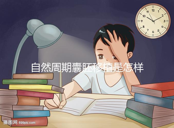 自然周期囊胚移植是怎樣的？5個步驟囊括所有流程