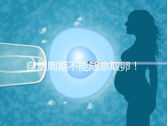 自然周期不能隨意取卵！滿足3點要求才能順利進行