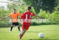 葫蘆島在哪里做試管嬰兒好?盛京和202醫(yī)院是熱門選擇