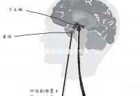 試管移植后著床失敗、流產?可能是“封閉抗體”出了問題