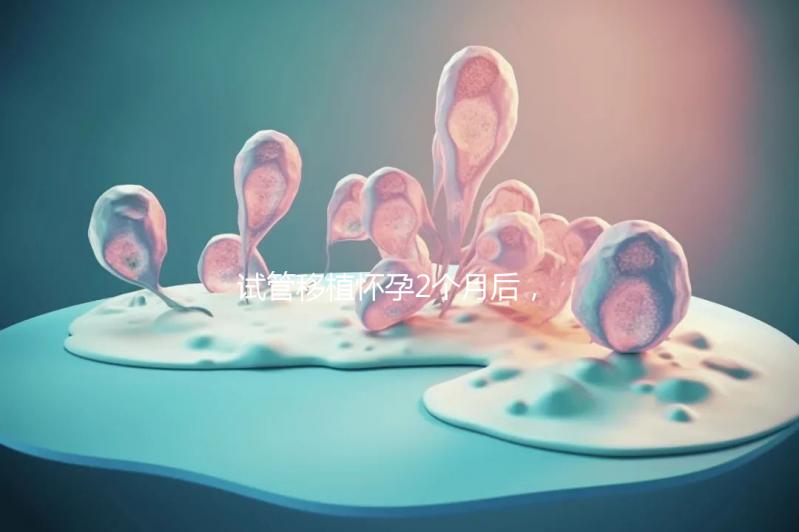 試管移植懷孕2個月后，還能不能吃酸筍田螺？