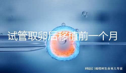 試管取卵后移植前一個(gè)月牙痛，可以去拔牙嗎？
