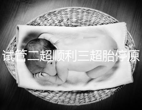 試管二超順利三超胎停原因分析，多半和保胎藥停早了有關