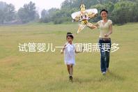 試管嬰兒一個周期需要多長時間