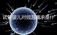 試管嬰兒對卵泡要求是什么?別著急,先聽聽生殖科醫生怎么說