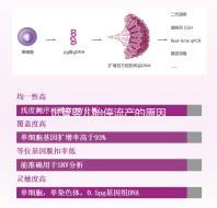 試管嬰兒胎停流產的原因剖析，胎停育與胎停孕大不同