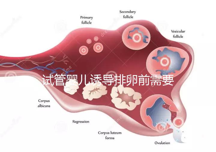 試管嬰兒誘導排卵前需要做哪些準備工作？