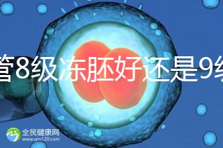 試管8級凍胚好還是9級好進來瞧，看完二者區別全明白