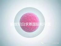 解放軍白求恩國(guó)際和平醫(yī)院(中國(guó)人民解放軍白求恩國(guó)際和平醫(yī)院)