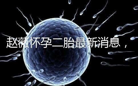 趙薇懷孕二胎最新消息，大肚子照公布網友紛紛送祝福