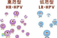 誰(shuí)說(shuō)不辦準(zhǔn)生證不能上戶,2020年生育新政策了解下!