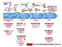 5bc囊胚移植后第六天測兩條杠要注意，第九天沒了不在少數