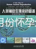 40歲幾月份懷孕生男孩？你想要的答案在生男生女清宮圖