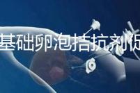 7個(gè)基礎(chǔ)卵泡拮抗劑促排能取卵幾個(gè)看這,與短方案有差異