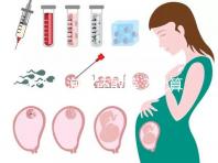 6個卵泡你還敢等？就算試管嬰兒也難一次成功！
