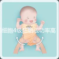 6細(xì)胞4級胚胎成功率高是謠言，移植后不易著床還風(fēng)險大