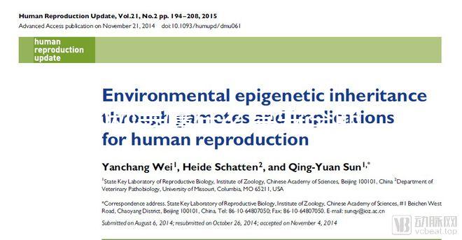 60秒弄懂什么是安全期，女生們別再和黃體期混為一談！